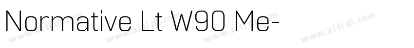 Normative Lt W90 Me字体转换